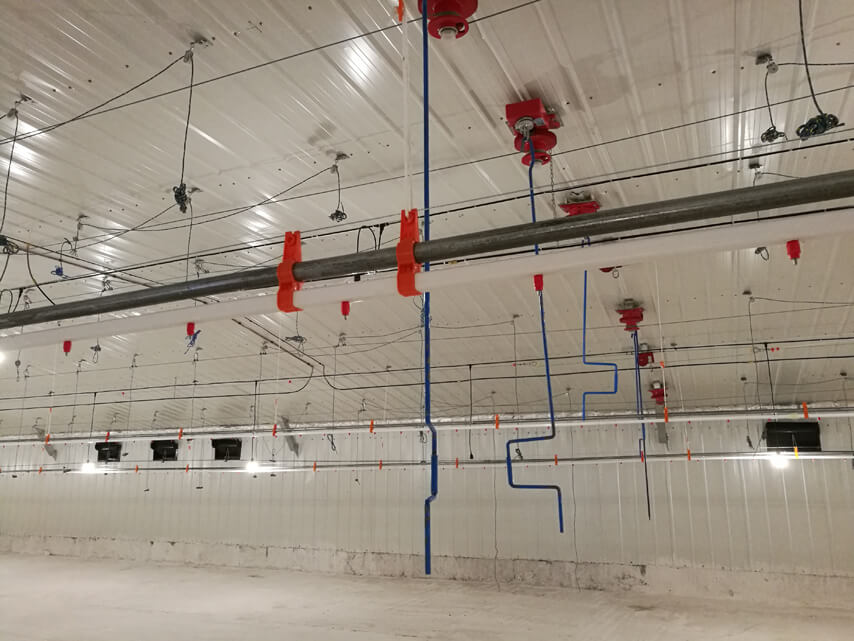 Курятник для заводчиков внутри 