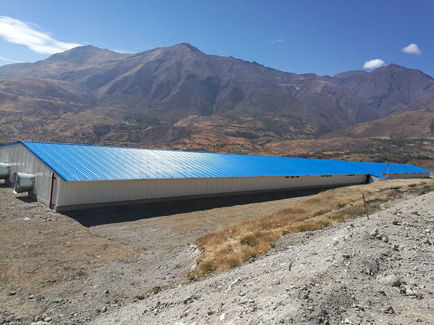 Куриный дом для разведения бройлеров в Эквадоре