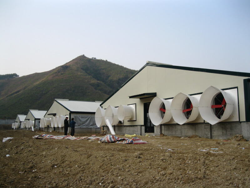 Легкая стальная конструкция свинофермы