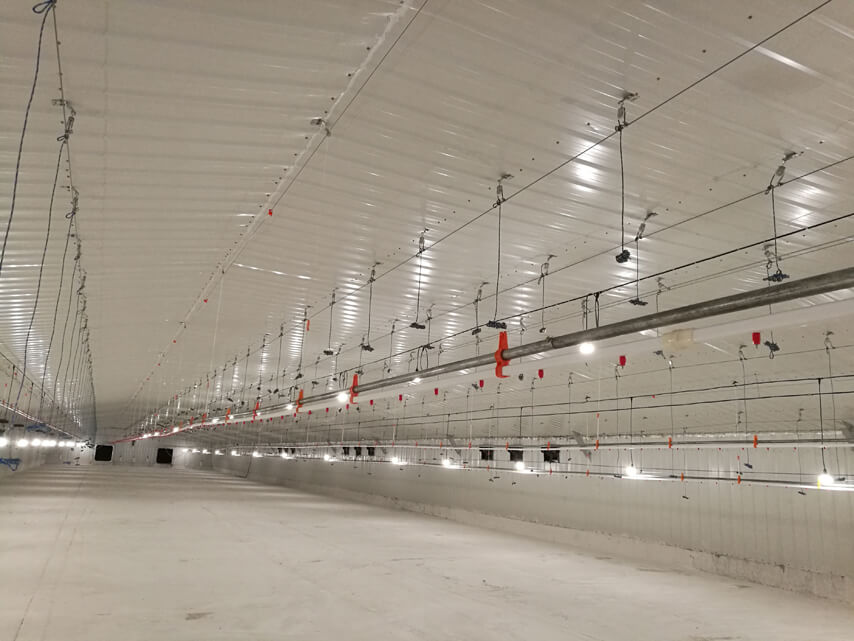 птичник для бройлеров внутри