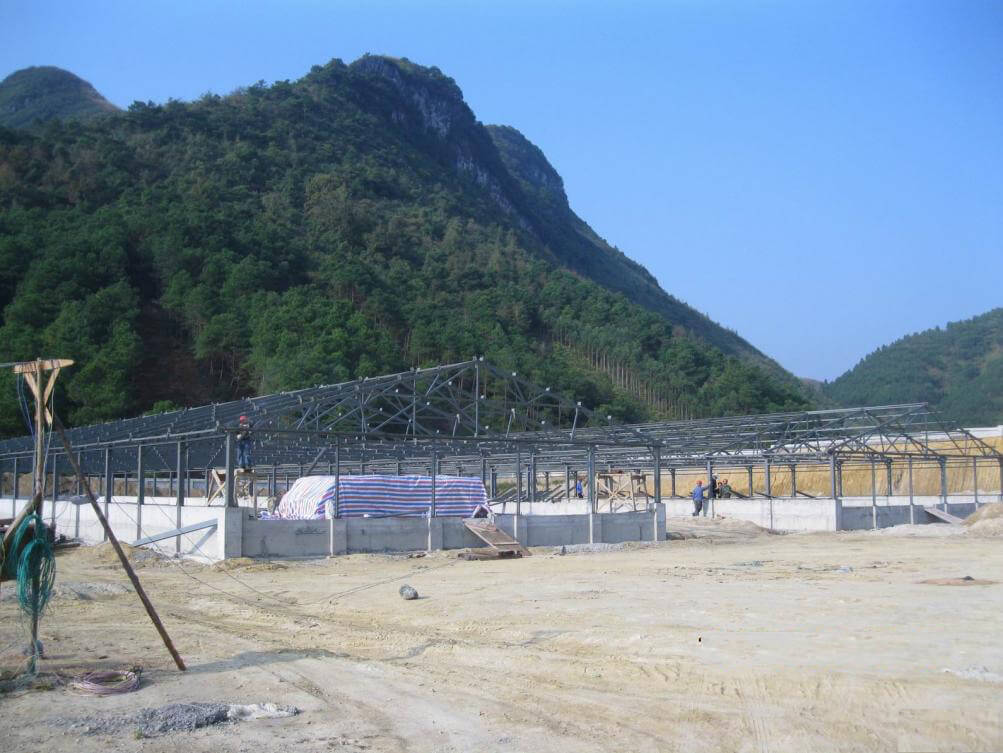 Легкая стальная конструкция свинофермы