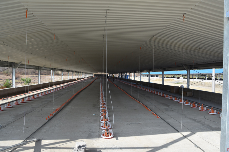 Сборные стальные конструкции птичника для бройлеров