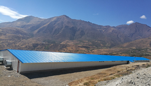 Breeder Chicken House.jpg