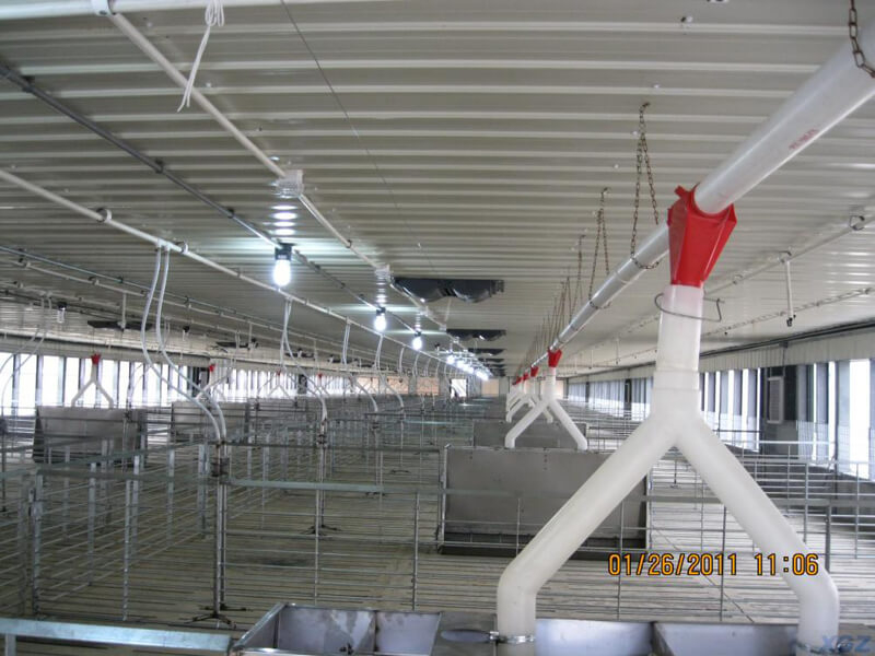Легкая стальная конструкция свинофермы