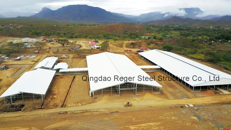 Коровник Папуа-Новой Гвинеи