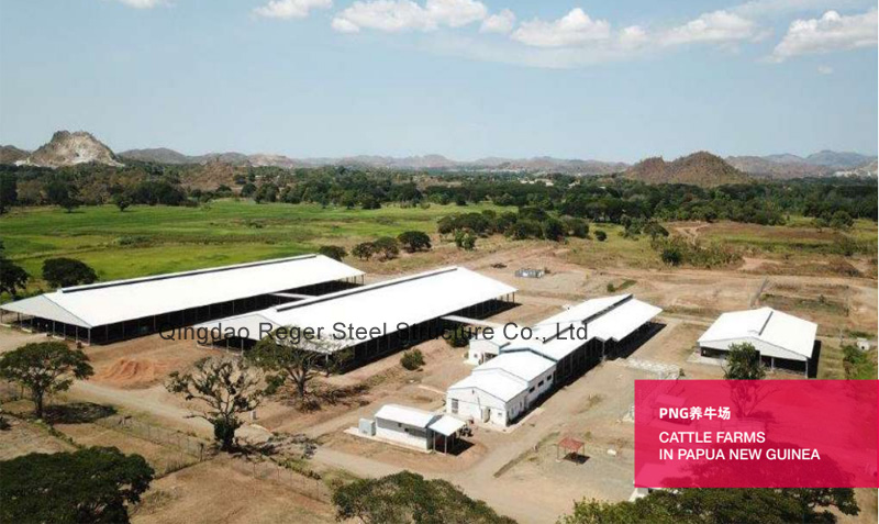 Коровник Папуа-Новой Гвинеи