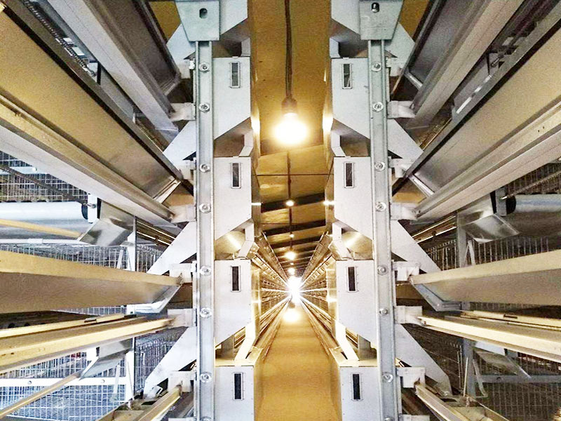 Клетка для кур-несушек типа H 