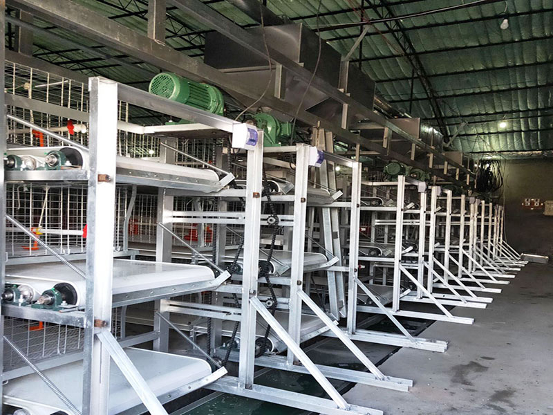 Автоматическая клетка для птицы для бройлеров 