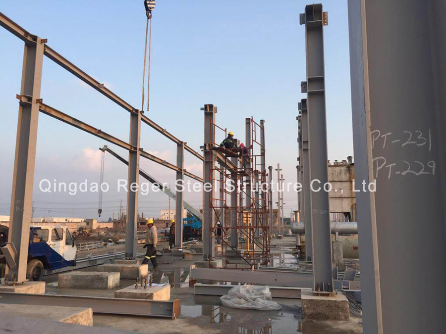 Пакистанский химический завод (6)