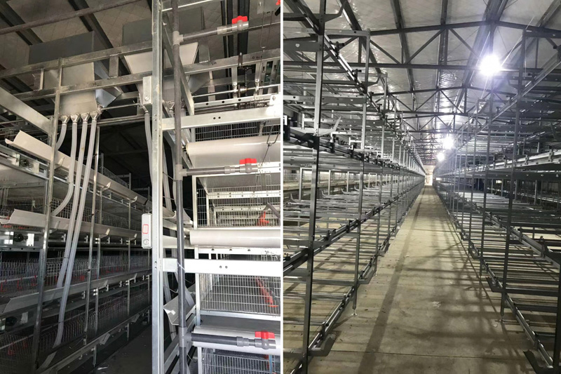 Оборудование для клеток для мясных уток 