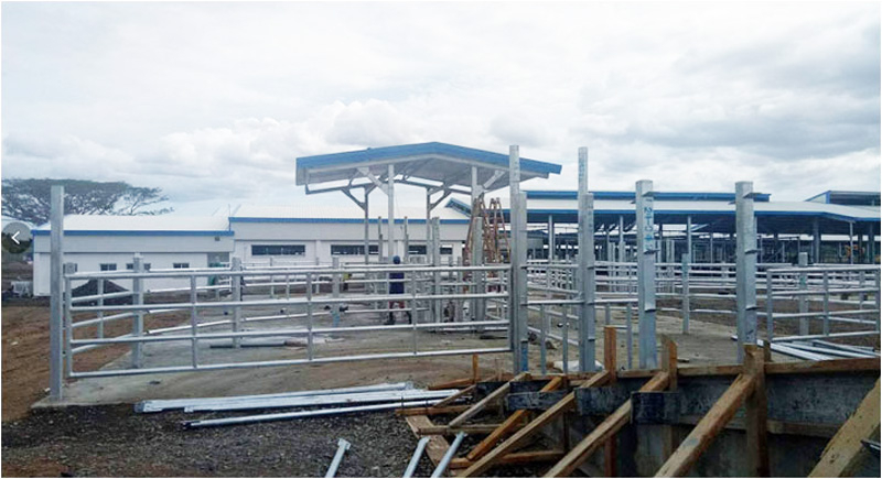 Коровник Папуа-Новой Гвинеи