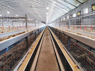 Автоматическая клетка для птицы для бройлеров 