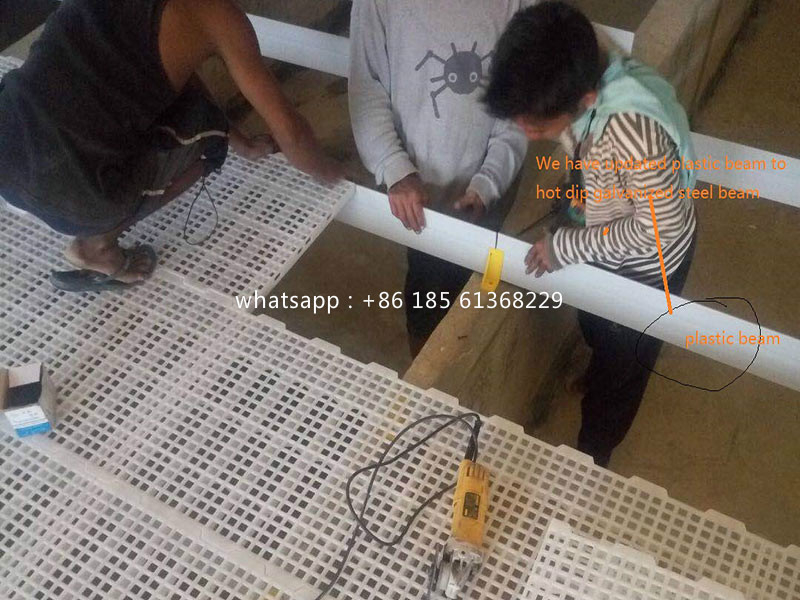 Коммерческий птичник с шиферным полом 