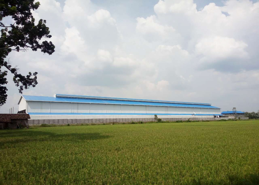 Семинар по стальным конструкциям в Индонезии