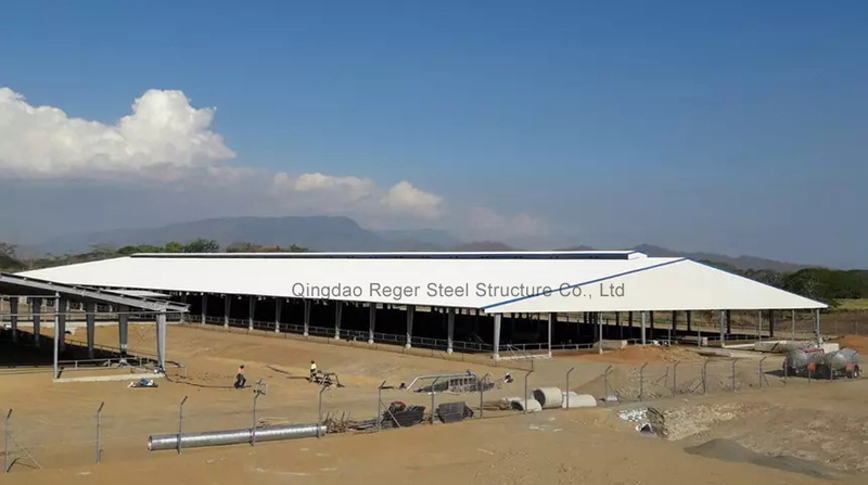 Коровник Папуа-Новой Гвинеи