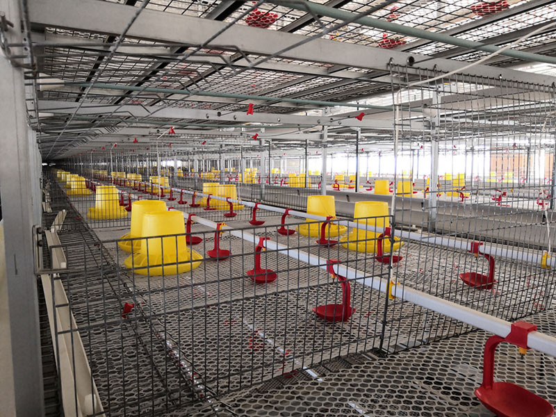Оборудование для клеток для мясных уток 