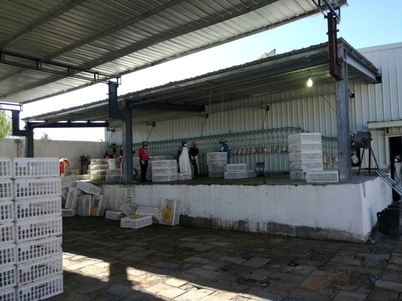 Готовый завод по переработке птицы