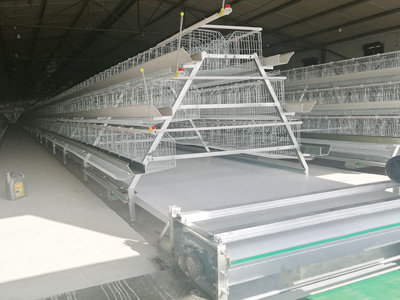 Автоматическая клетка для кур-несушек типа A