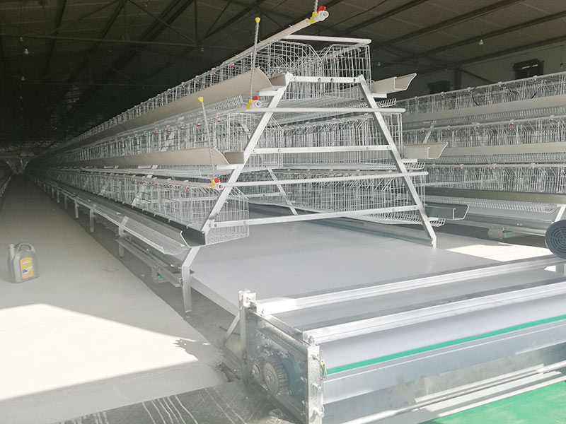 Автоматическая клетка для кур-несушек типа A