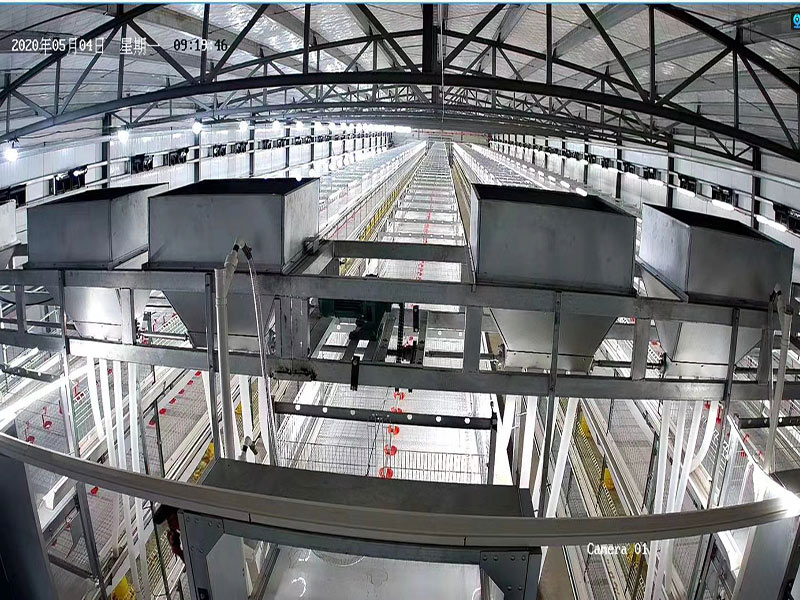 Оборудование для клеток для мясных уток 