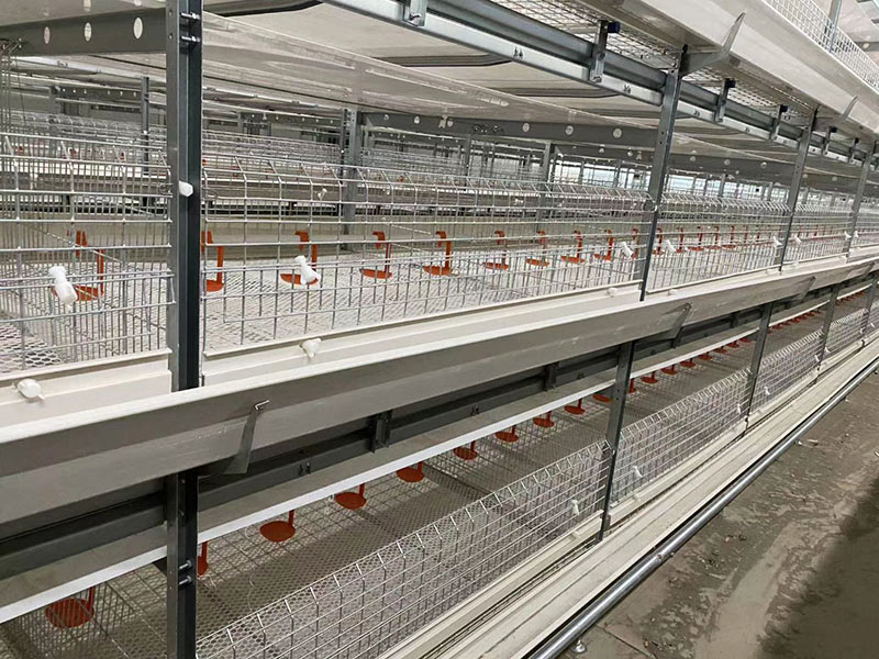 Оборудование для клеток для мясных уток 
