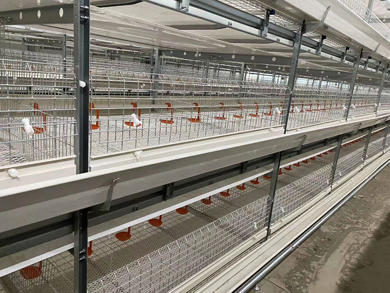 Оборудование для клеток для мясных уток 