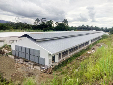 Стальная конструкция птичника