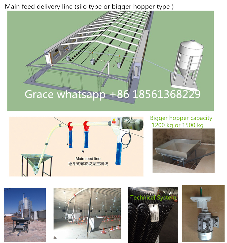 оборудование для бройлерной фермы 1-1