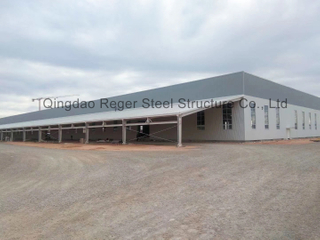 Цех по производству гипсокартона в Алжире