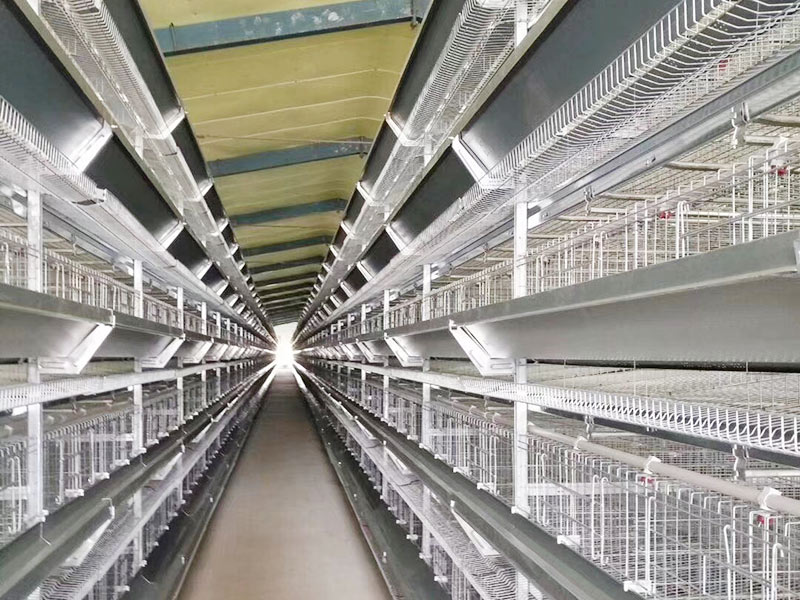 Клетка для кур-несушек типа H 