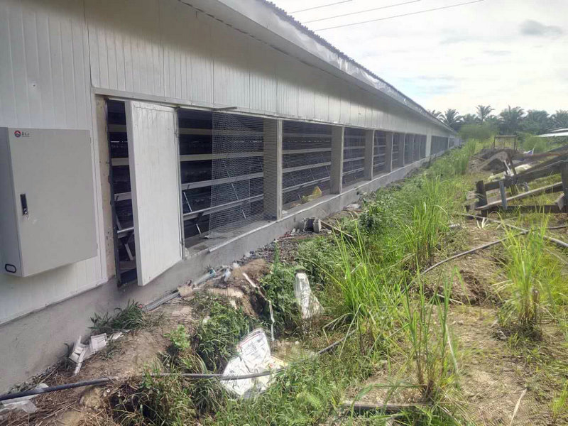 Стальная конструкция слоя курятника