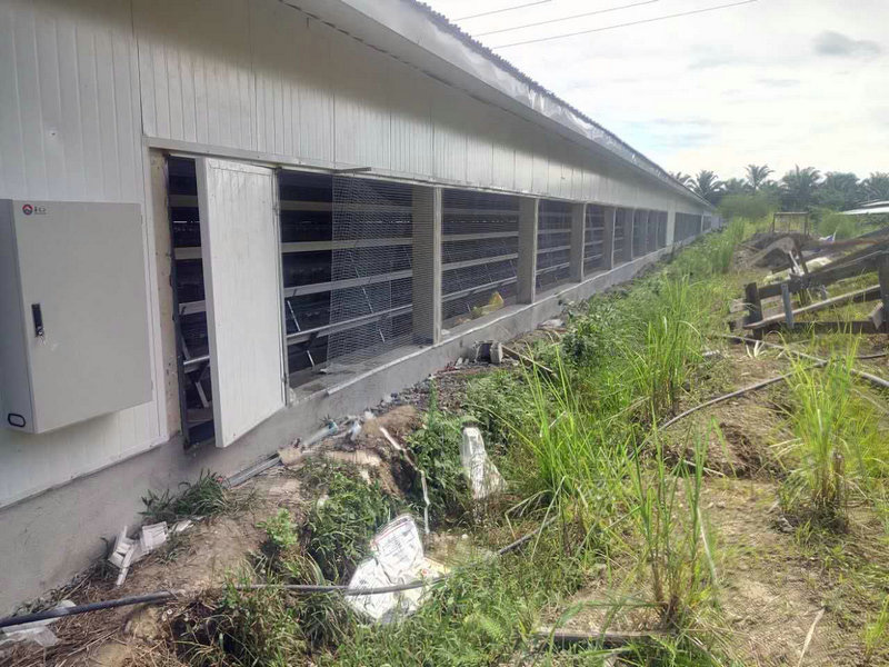 Стальная конструкция слоя курятника