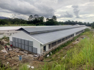 Стальная конструкция слоя курятника