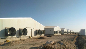 steel structure chicken house.jpg
