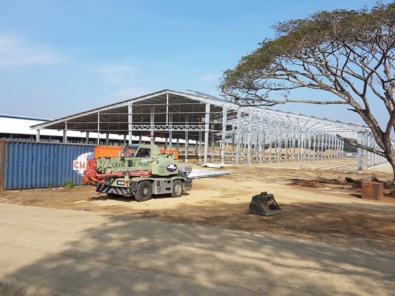 Недорогой сарай для молочной коровы