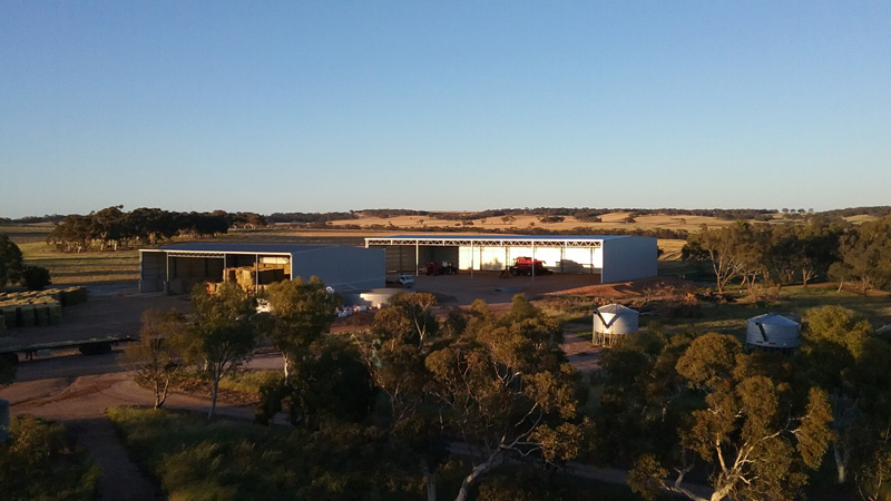 Сборный свинарник из стальной конструкции