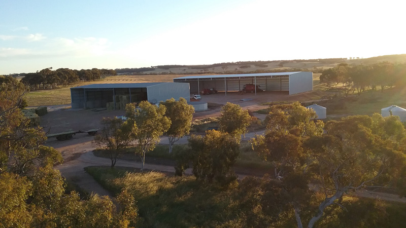 Сборный свинарник из стальной конструкции