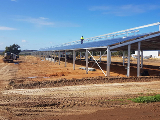 Сборный свинарник из стальной конструкции