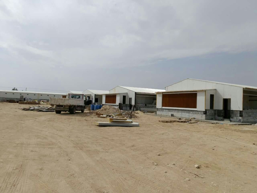 закончен монтаж курятника