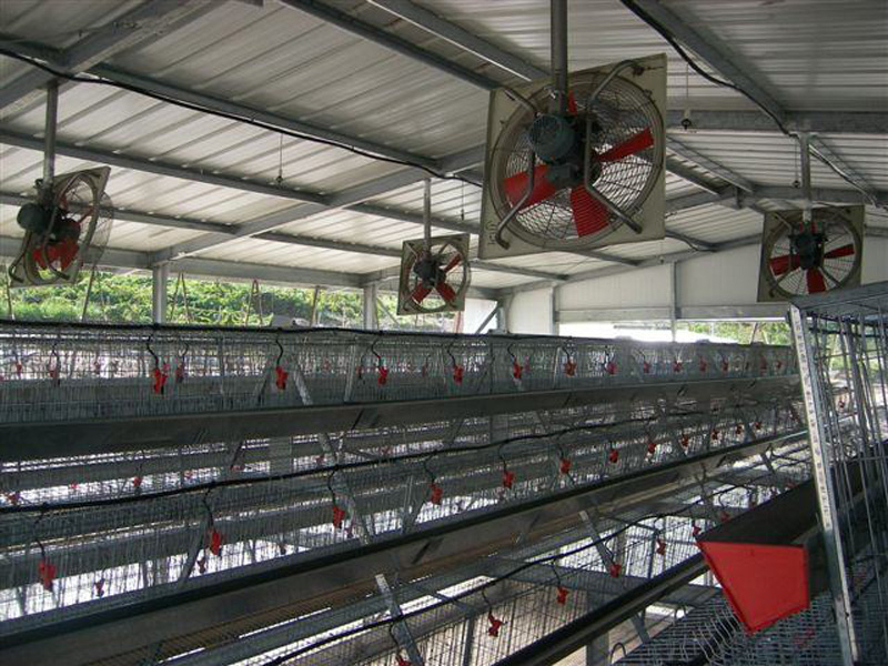 Двухэтажный курятник