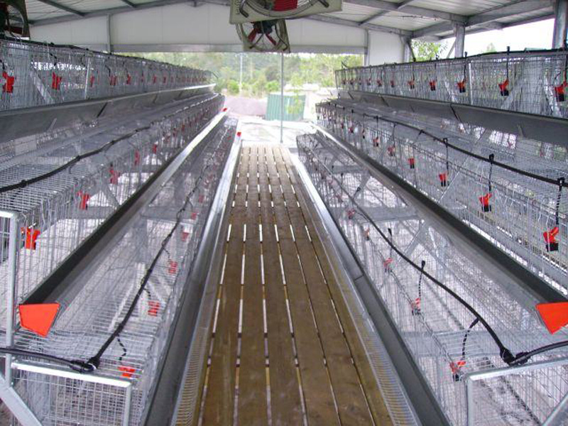 Двухэтажный курятник