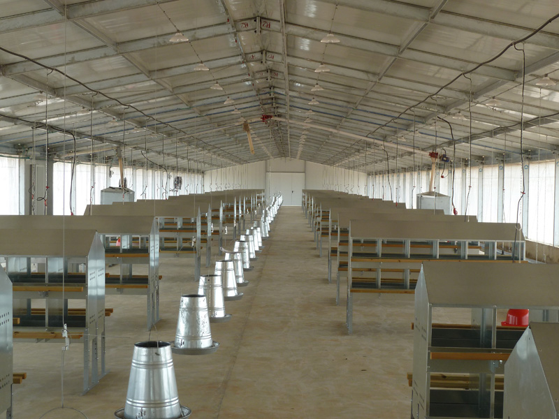 Здание куриной птицефабрики