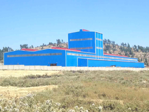 Здание промышленного предприятия с тяжелой стальной конструкцией