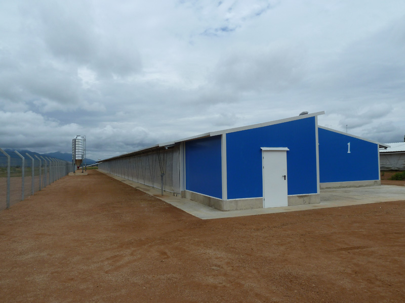 Здание куриной птицефабрики